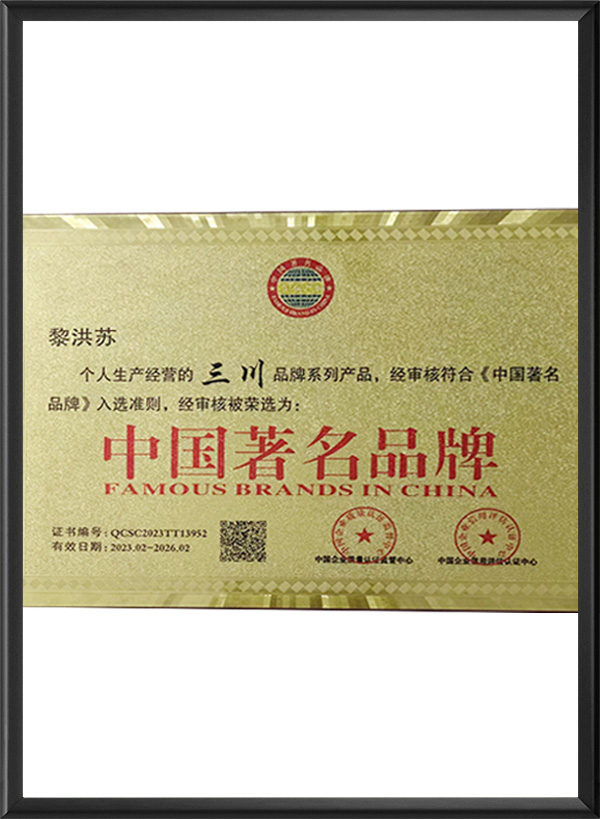 中国著名品牌