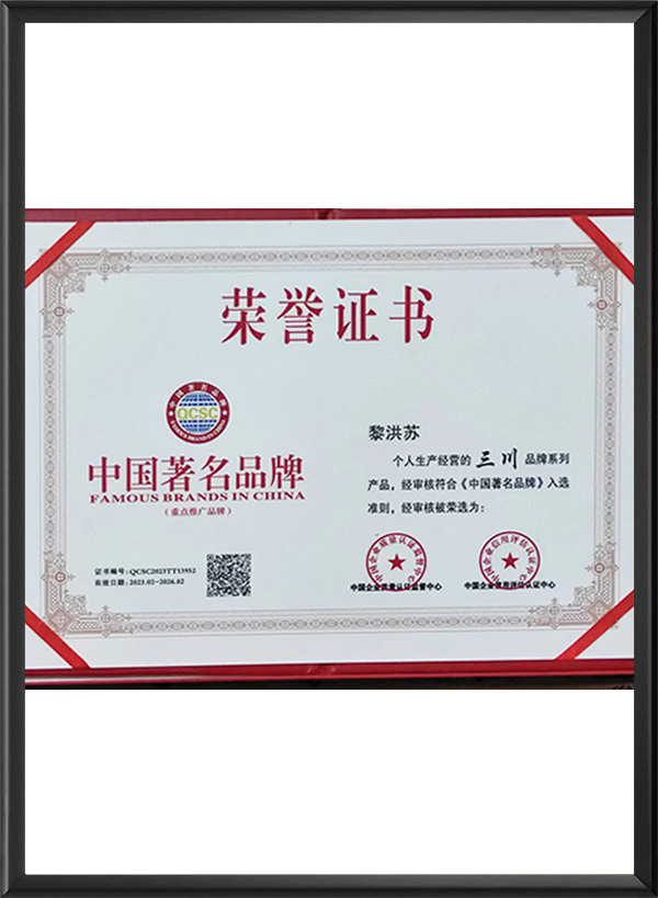 中国著名品牌
